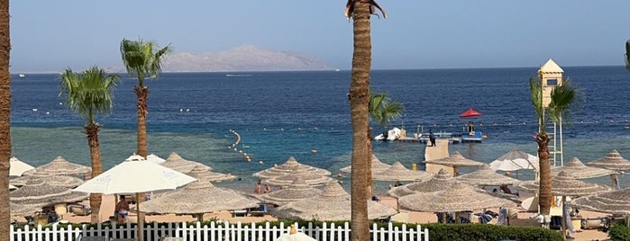 Savoy Resort Sharm El Sheikh is one of Sharm.