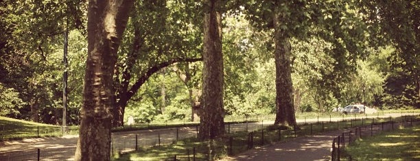 Центральный парк is one of NY.