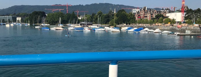 ZSG MS Limmat is one of ZSG Zürichsee Schifffahrtsgesellschaft.