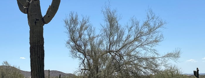 Sonoran Preserve - Sonoran Loop Trail is one of Arizona.