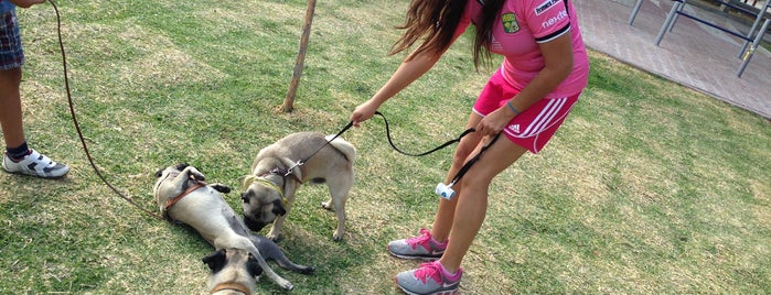 Parque de Panorama is one of Petfriendly! 🐾🐶.