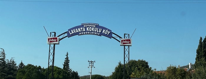 Kuyucak Köyü Lavanta Tarlaları is one of Turkey.