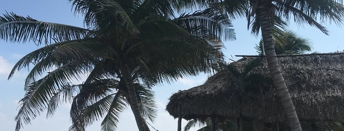 Rojo Beach Bar is one of Belize🌊🍹.