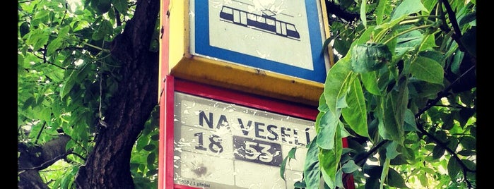 Na Veselí (tram) is one of Locais curtidos por Diana.