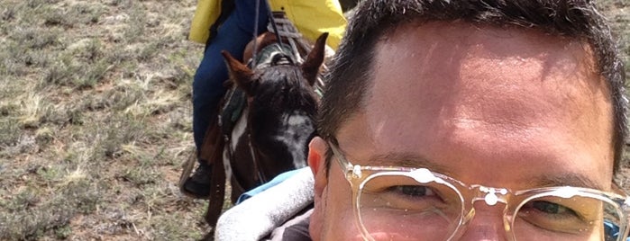 Mt Princeton Horse Stable is one of Locais curtidos por Garrett.