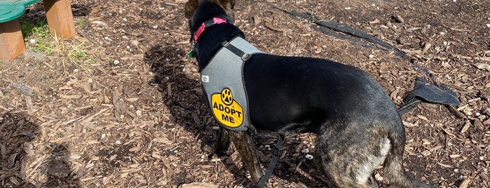 NOLA City Bark is one of Nola Parks.