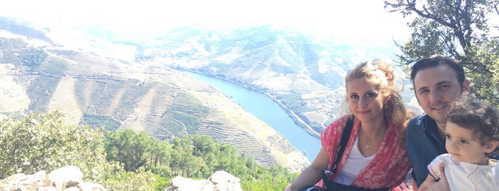 Miradouro São Leonardo de Galafura is one of Porto Douro.