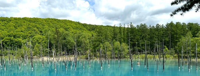 Shirogane Blue Pond is one of 写真.