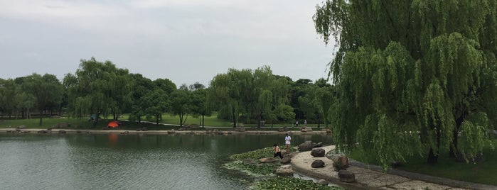 Oriental Land is one of Shanghai Public Parks.