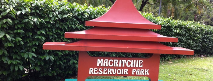 MacRitchie Reservoir Park is one of Singapore favorites.