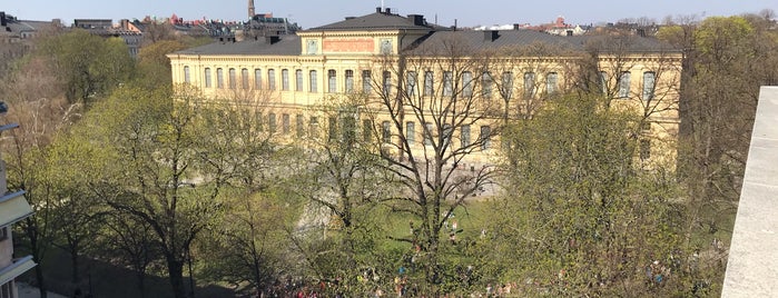 sthlm summer rooftops