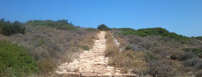 Byzantine Road is one of Paros island.