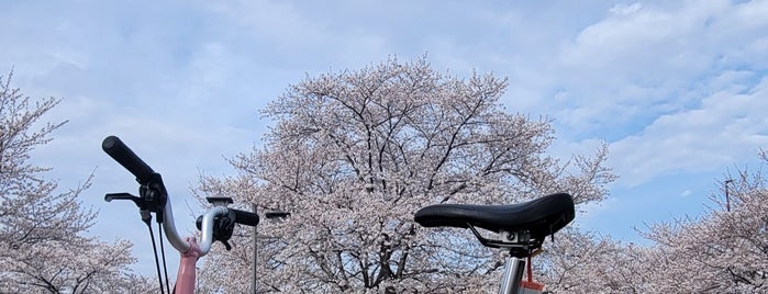 古河総合公園 is one of SANAA.