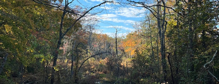 Mason Neck State Park is one of Fairfax County Parks.