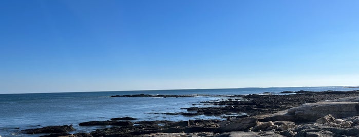 Odiorne Point State Park is one of New Hampshire.