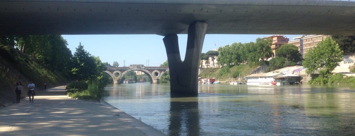 Lungotevere Marzio is one of Rome.