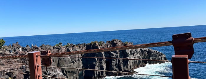 Jogasaki Coast is one of 伊豆.