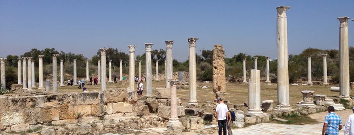 Salamis Ruins is one of Tempat yang Disukai Ismail.