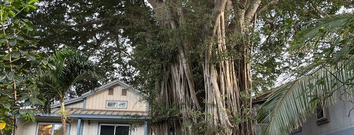 Northshore Maui Hostel is one of Maui places to check out.