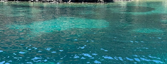 Dalyan Turtle Beach Boat is one of Aegean July 2016.