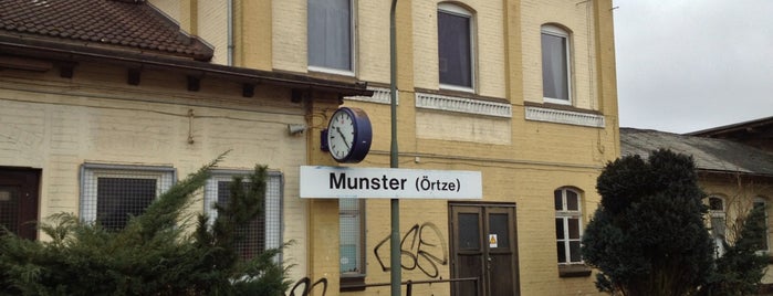 Bahnhof Munster (Örtze) is one of Bf's in Niedersachsen (Nord / West) / Bremen.