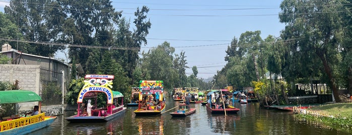Trajineras Xochimilco is one of lugares para visitar DF.