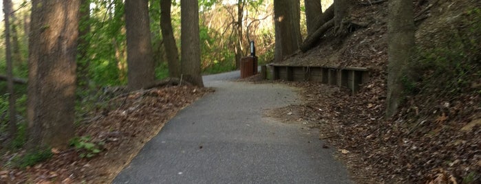 Maurice River Bicycle And Walking Trail is one of NJ Outdoors.