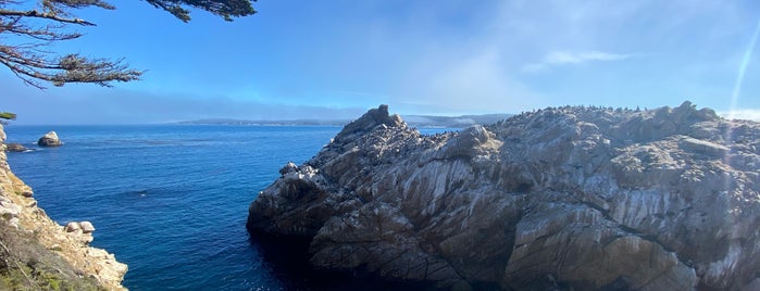 Guillemot Island is one of สถานที่ที่ eric ถูกใจ.