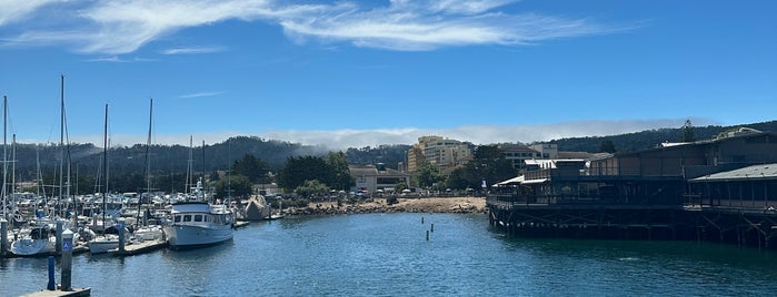 Monterey Bay Whale Watch is one of Pacific Coast Highway - Highway No 1.