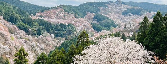 吉野山 中千本 is one of 日本の世界文化遺産（紀伊山地の霊場と参詣道）.