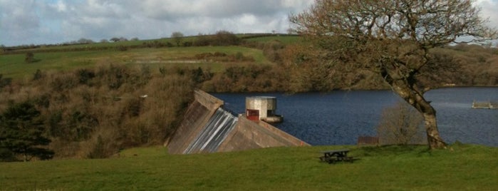 Llys Y Fran Country Park is one of Plwm’s Liked Places.