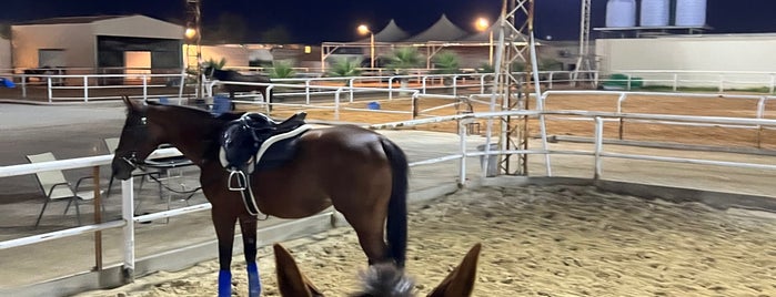 Voyage Equestrian Club is one of Riyadh.