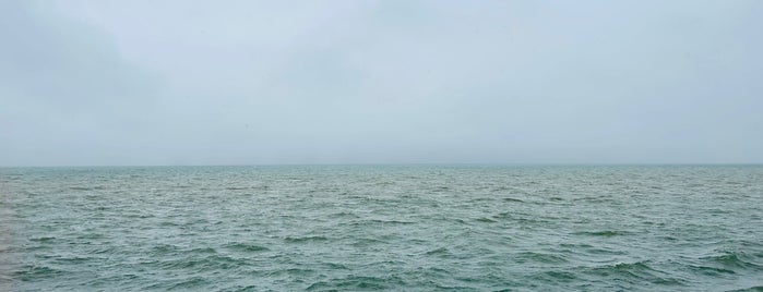 Edgewater Fishing Pier is one of Places I Have Been.