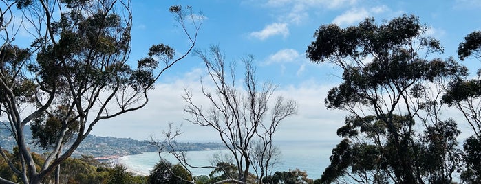 Hidden Swings is one of The 15 Best Scenic Lookouts in San Diego.