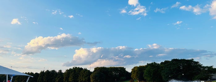 Washingtonian Lake is one of D.C.