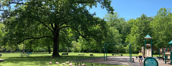 Springwood Park is one of outdoors / sports.