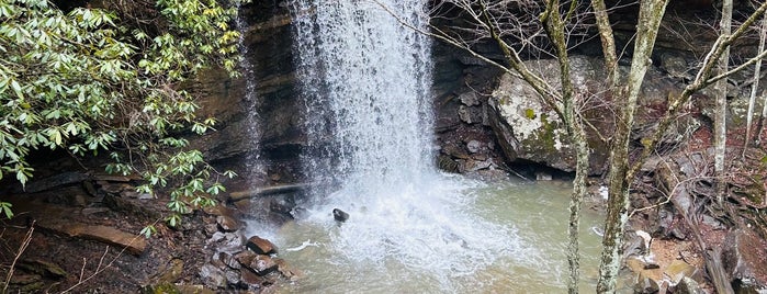 Cucumber Falls is one of Ohio Pyle.