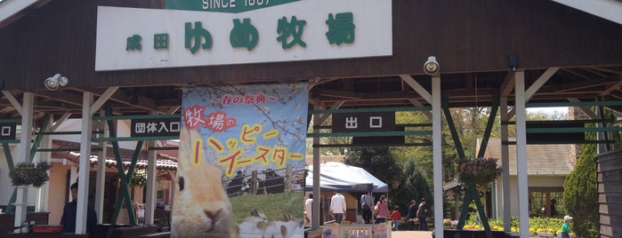 Narita Dream Dairy Farm is one of สถานที่ที่ Sada ถูกใจ.