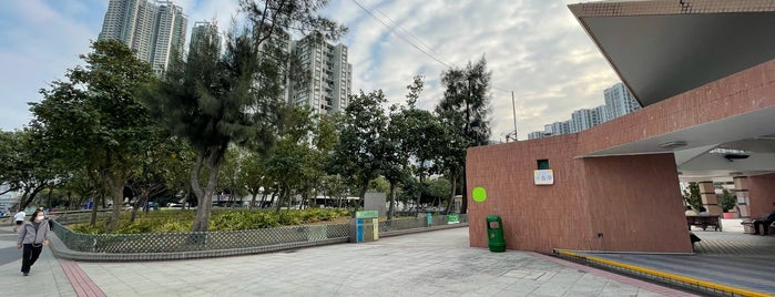 Sai Wan Ho Harbour Park is one of Rex : понравившиеся места.