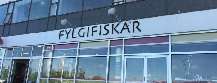 Fylgifiskar is one of Reykjavik - nice stores.