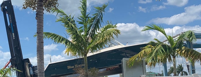 Dolphin Tiki Bar & Cafe is one of Marco Island, FL.