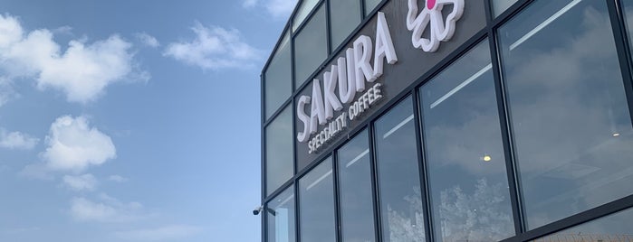 Sakura Caffee is one of Med b4.