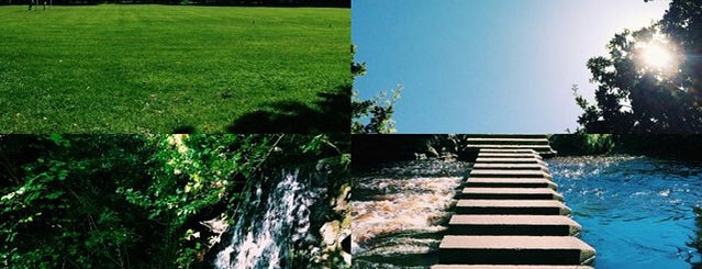 Bushy Park is one of Caroline'nin Beğendiği Mekanlar.