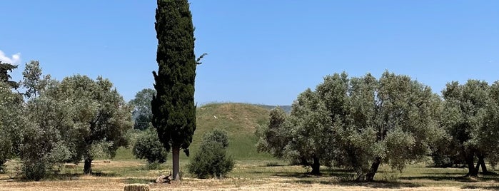 Marathon Tomb is one of Athens Essentials.