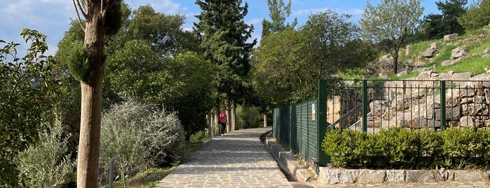 Antike Heilige Straße von Delphi is one of Orte, die Jingyuan gefallen.