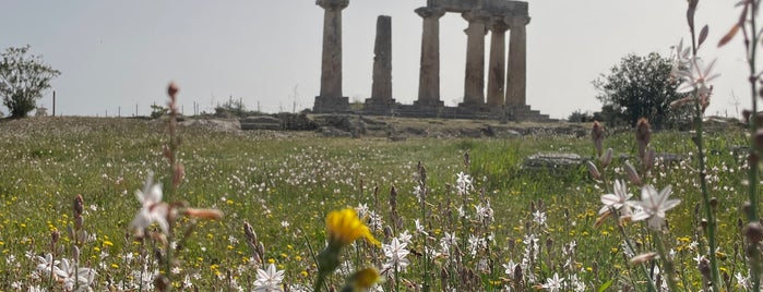 Apollo Temple is one of Greece, Turkey & Cyprus.