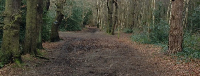 Petts Wood Woods is one of Wood"Forest"meditazione_ Kent/East SusseX.
