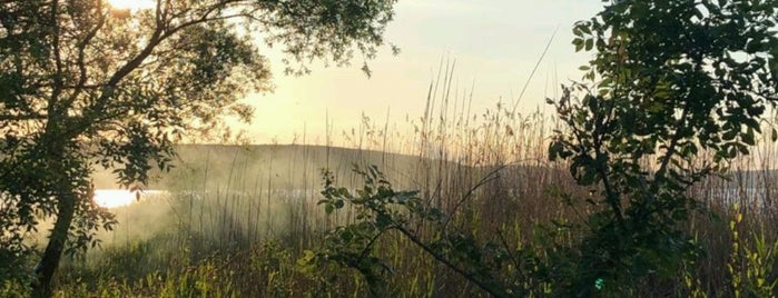 Durusu park is one of Lieux qui ont plu à Tuğçe.