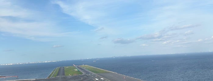 Runway D (05/23) is one of Japan Trip.