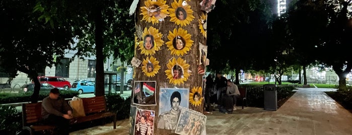Michael-Jackson-Gedächtnis-Baum is one of Orte, die Cristi gefallen.